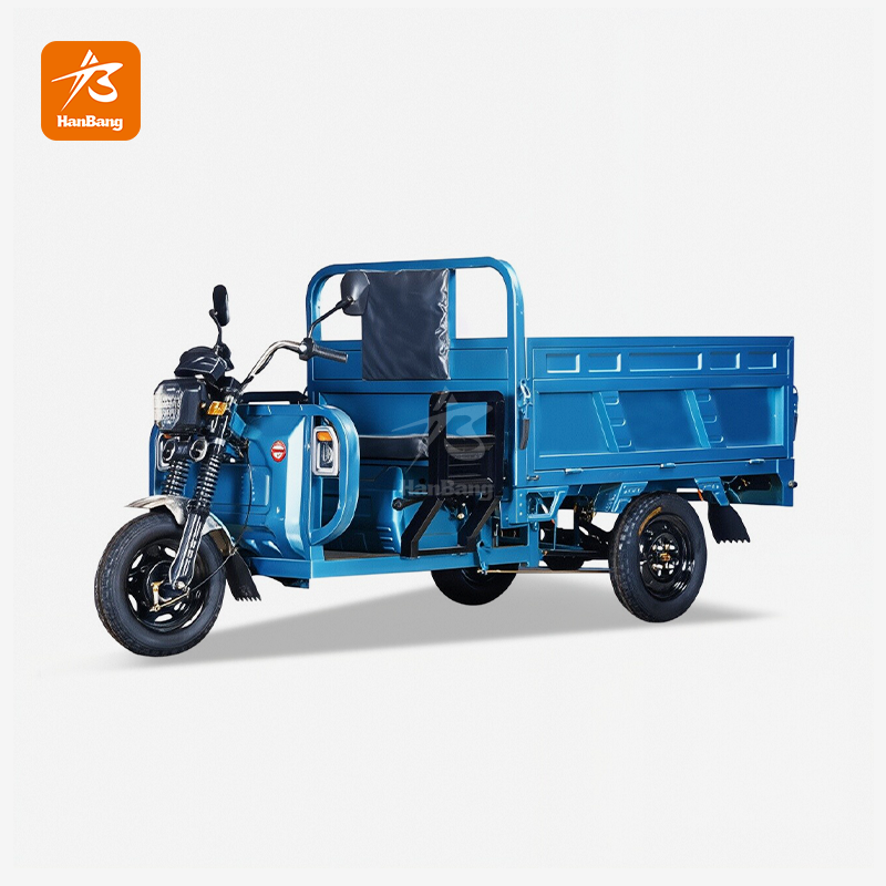 Cargo Electric Tricycle for Adults